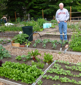 Pea Patch